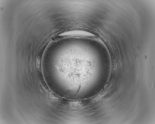 X0000087030281200704301347