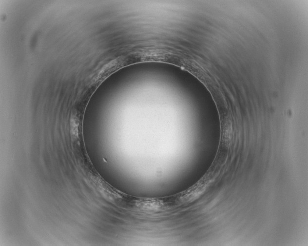 X0000087030282200704301347