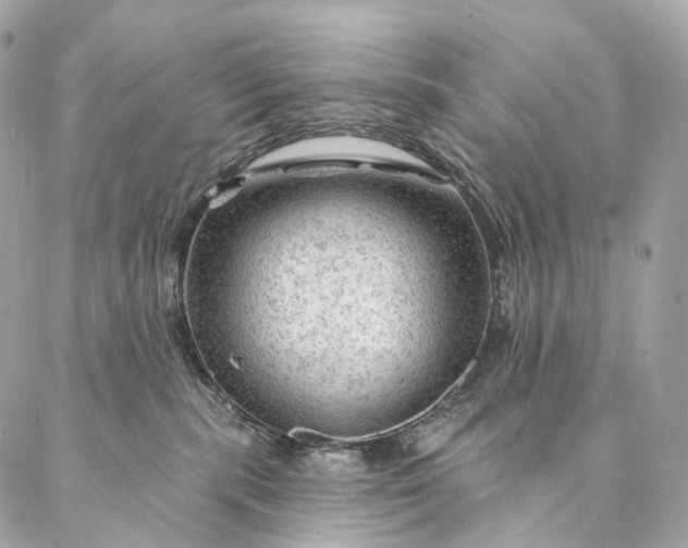 X0000087030283200704301347