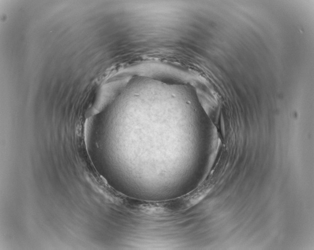 X0000087030284200704301347