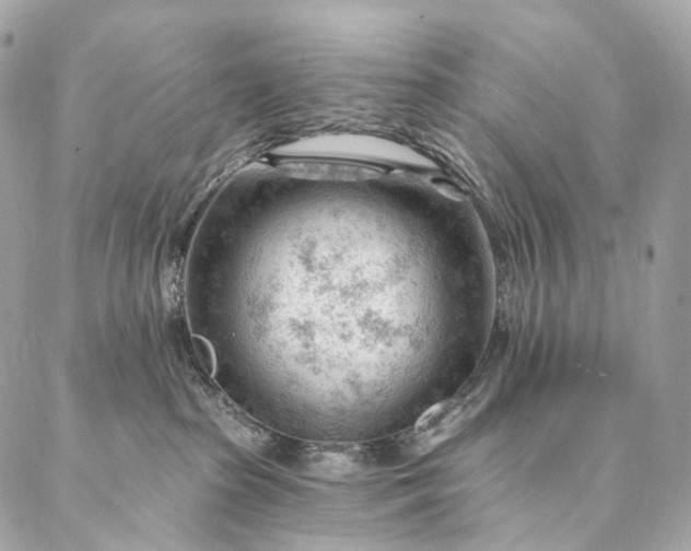 X0000087030285200704301347