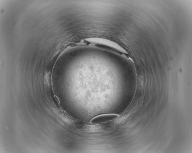 X0000087030286200704301347