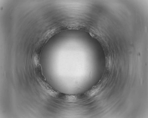 X0000087030287200704301347