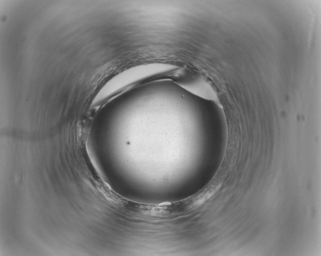 X0000087030288200704301347