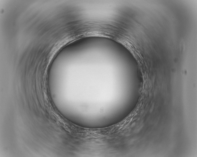 X0000087030289200704301346