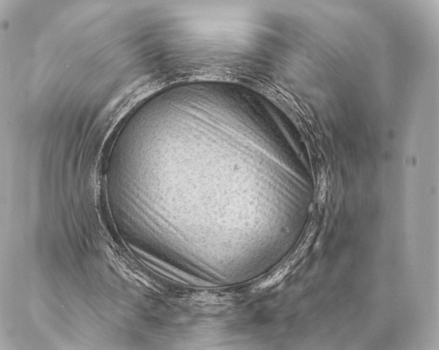 X0000087030290200704301346