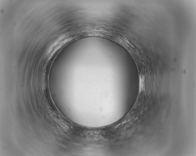 X0000087030291200704301346