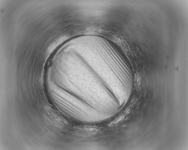 X0000087030292200704301346