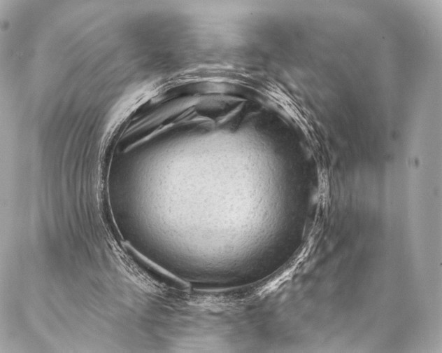 X0000087030293200704301346