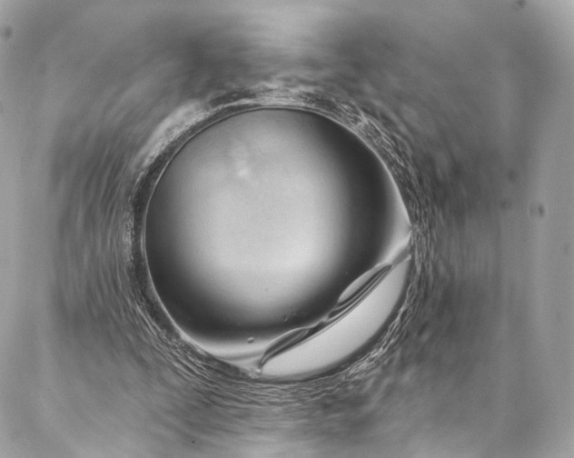 X0000087030295200704301346