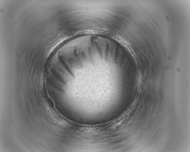 X0000087030297200704301346