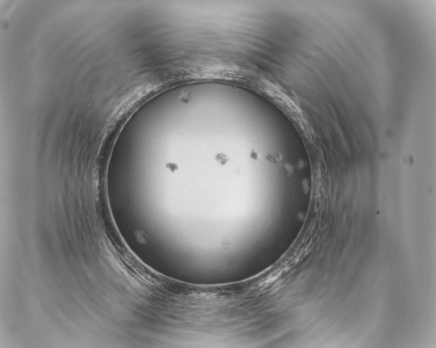 X0000087030298200704301346