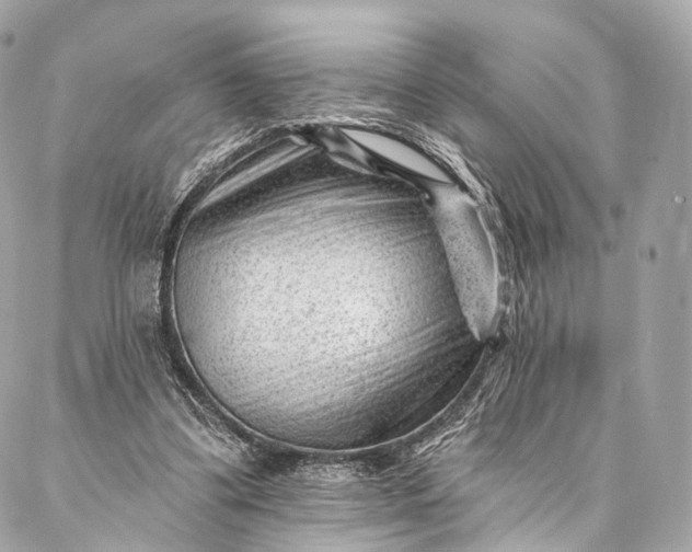 X0000087030299200704301346