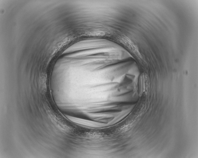 X0000087030300200704301346