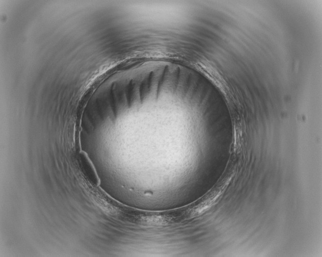 X0000087030301200704301346