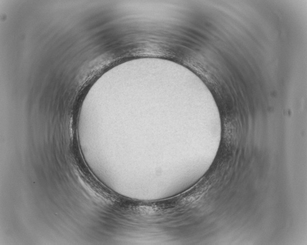 X0000087030302200704301346