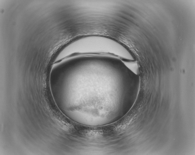 X0000087030303200704301346