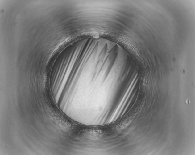 X0000087030304200704301346