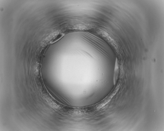 X0000087030305200704301346