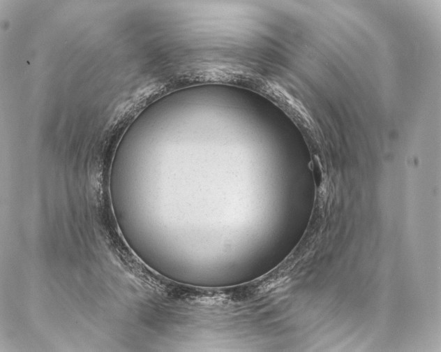 X0000087030306200704301346