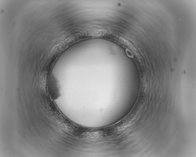 X0000087030307200704301346