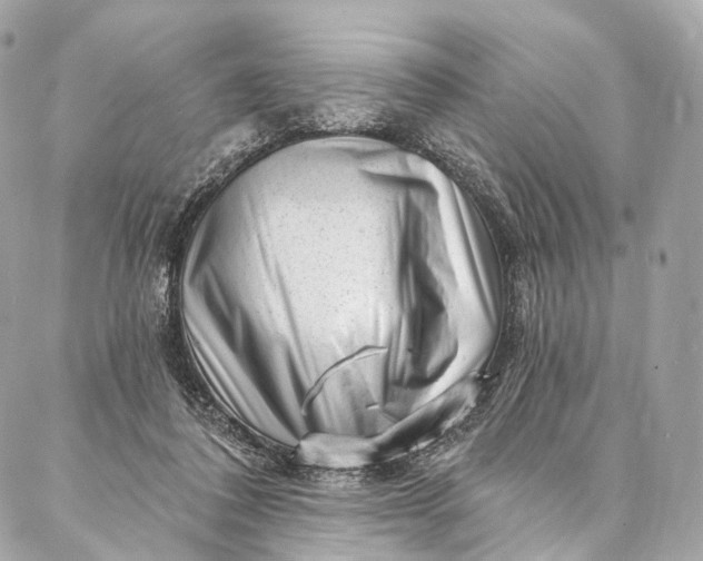 X0000087030308200704301346