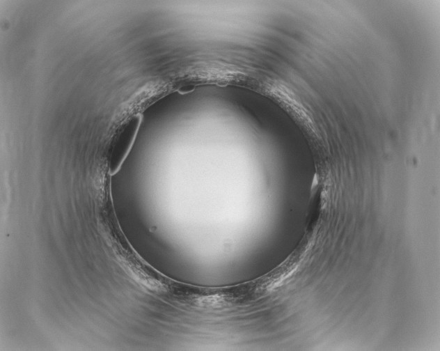 X0000087030309200704301346