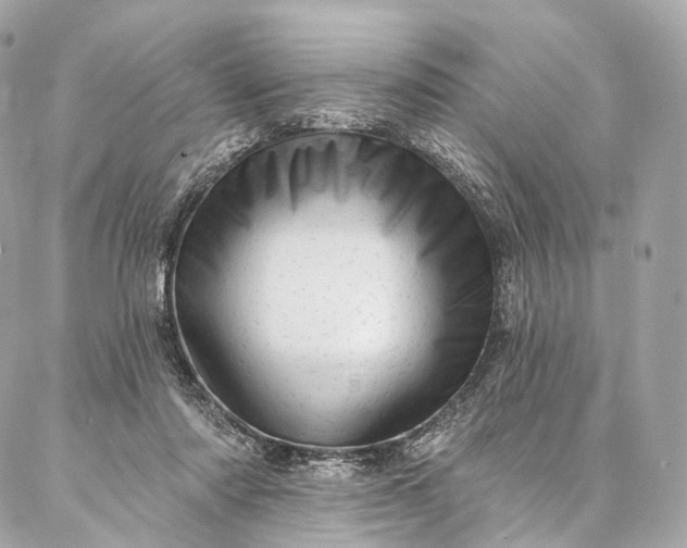 X0000087030310200704301346