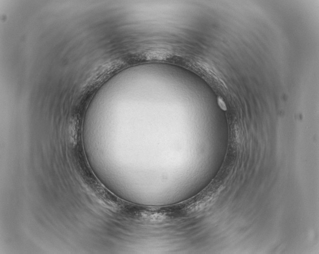 X0000087030311200704301346