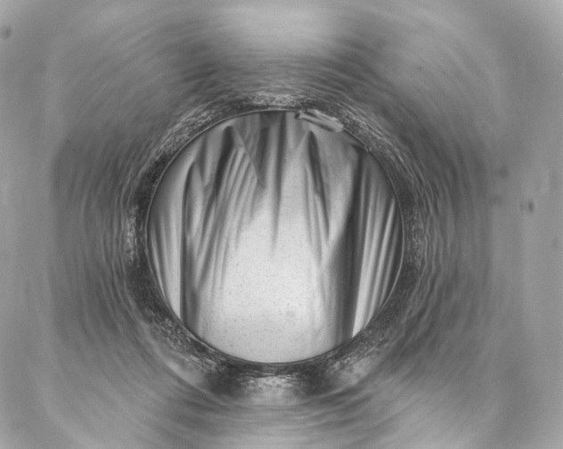 X0000087030312200704301346