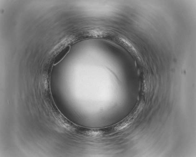 X0000087030313200704301346