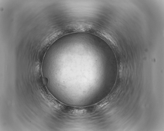 X0000087030314200704301346