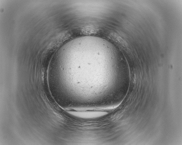 X0000087030315200704301346