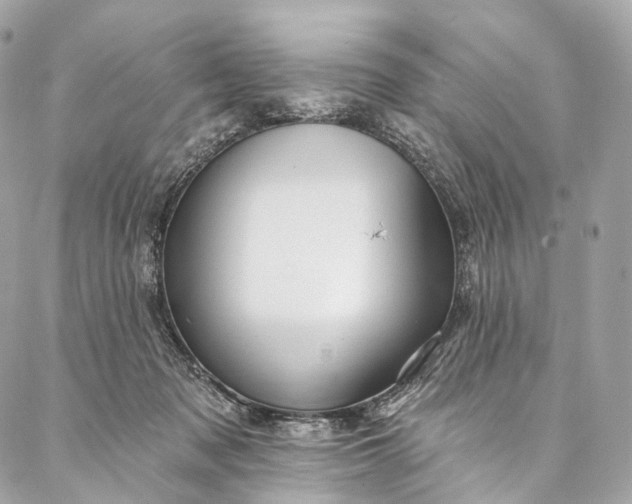 X0000087030317200704301346