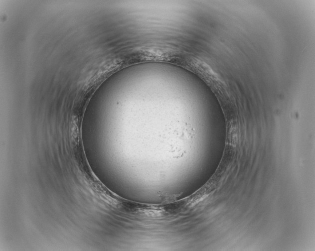 X0000087030318200704301346