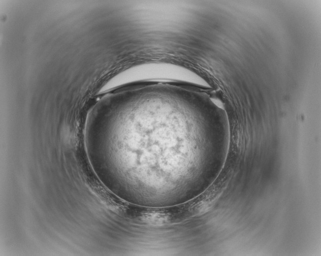 X0000087030319200704301346