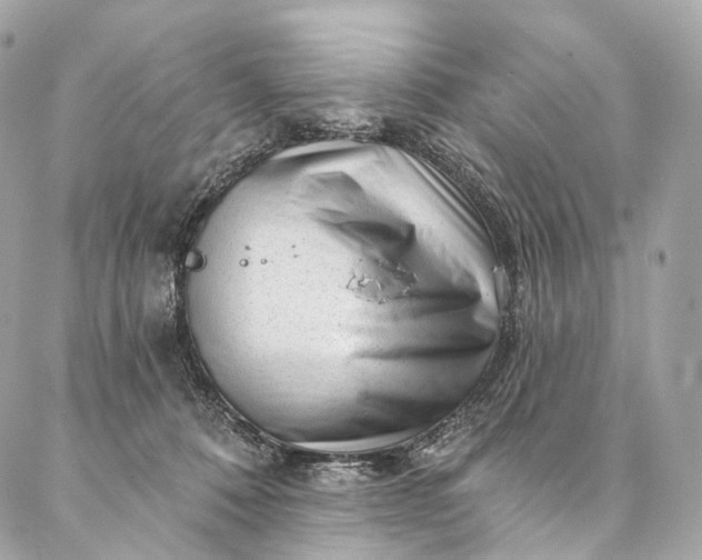 X0000087030320200704301346