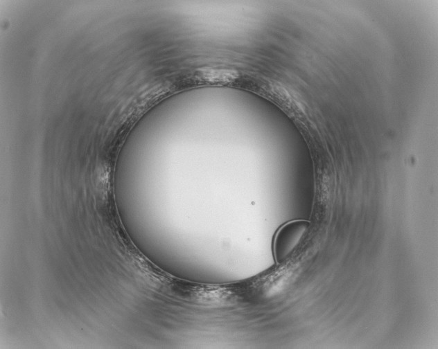 X0000087030321200704301346