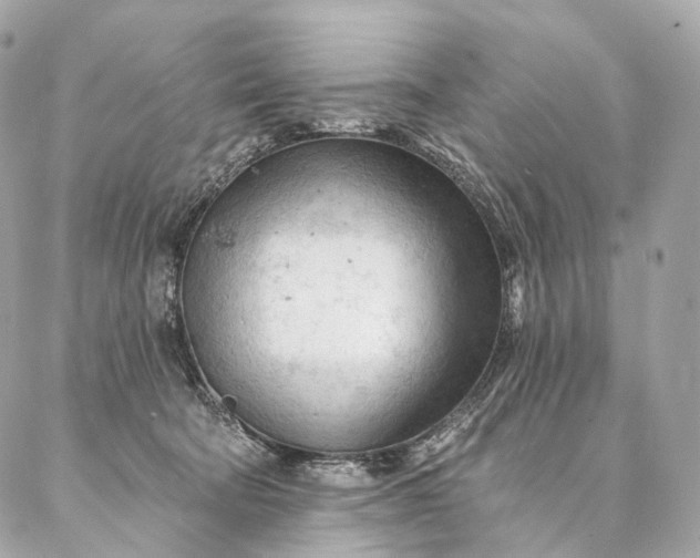 X0000087030322200704301346