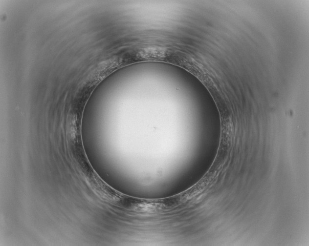 X0000087030323200704301346