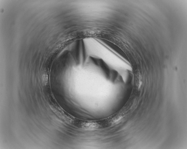 X0000087030324200704301346