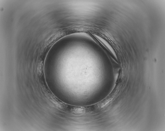 X0000087030325200704301346