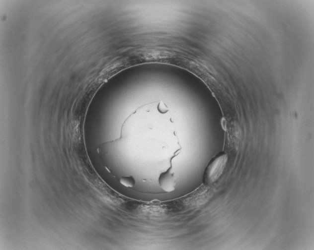 X0000087030327200704301345