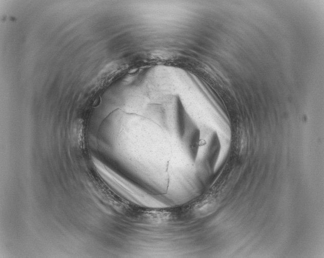 X0000087030328200704301345