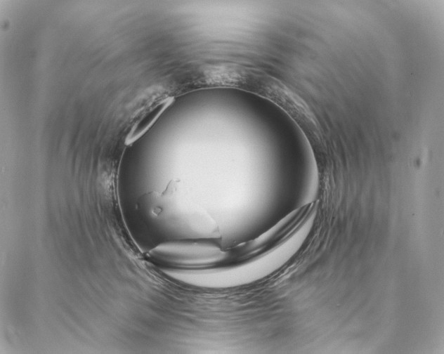 X0000087030329200704301345