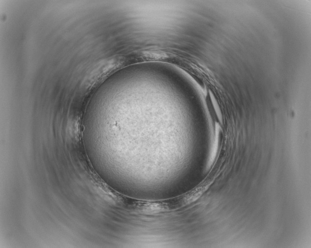 X0000087030330200704301345