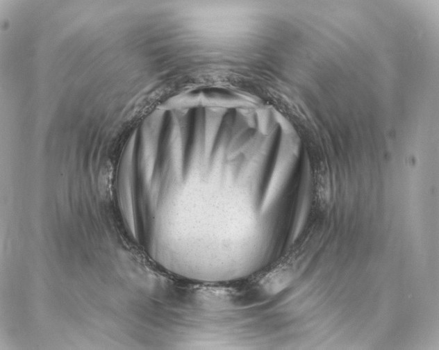 X0000087030332200704301345