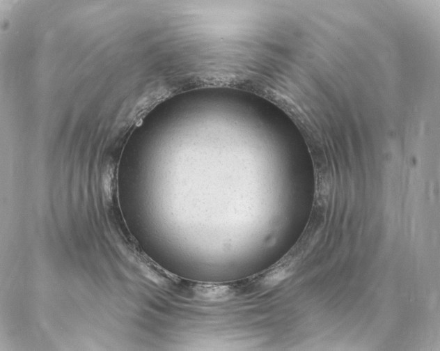 X0000087030334200704301345