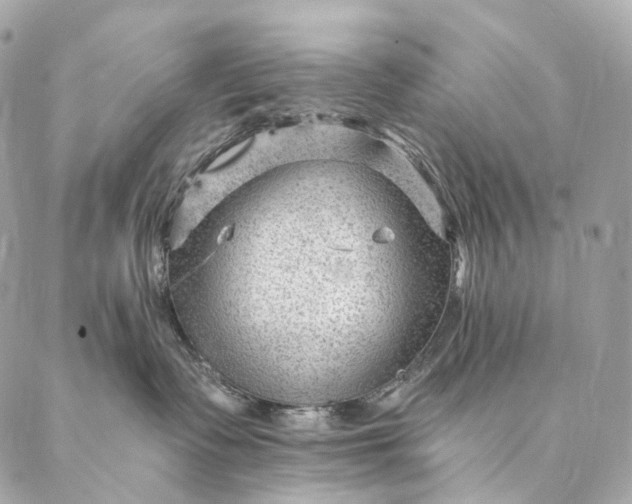 X0000087030335200704301345