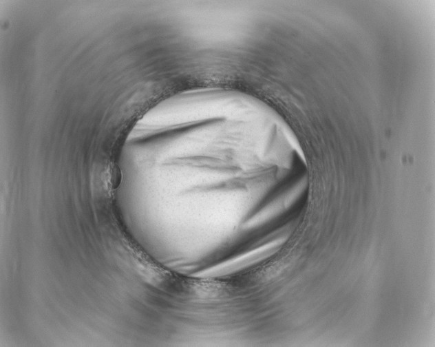 X0000087030336200704301345